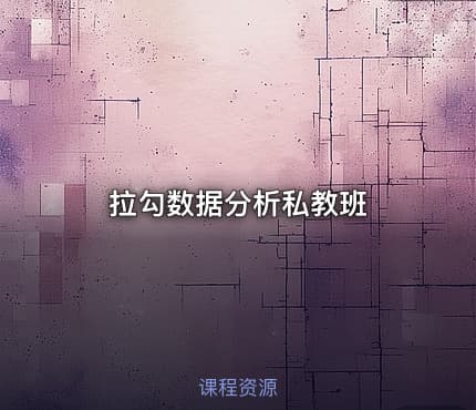 拉勾数据分析私教班