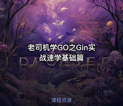 老司机学GO之Gin实战速学基础篇