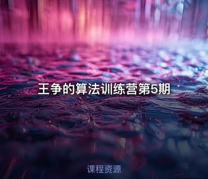 王争的算法训练营第5期