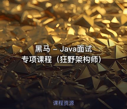 黑马 - Java面试专项课程（狂野架构师）