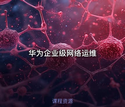华为企业级网络运维