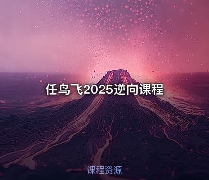 任鸟飞2025逆向课程