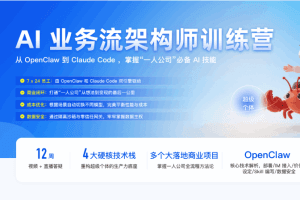 AI 业务流架构师训练营
