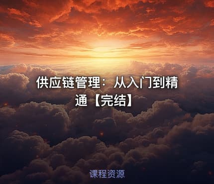 供应链管理：从入门到精通【完结】