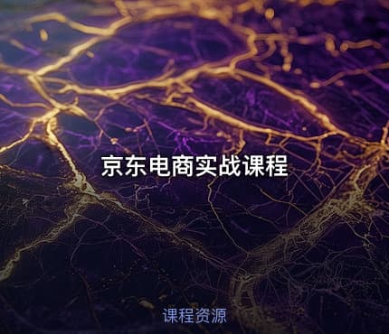 京东电商实战课程