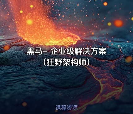 黑马- 企业级解决方案（狂野架构师）