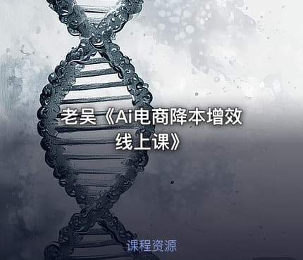 老吴《Ai电商降本增效线上课》