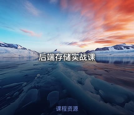 后端存储实战课