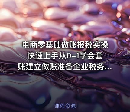 电商零基础做账报税实操快速上手从0-1学会套账建立做账准备企业税务申报