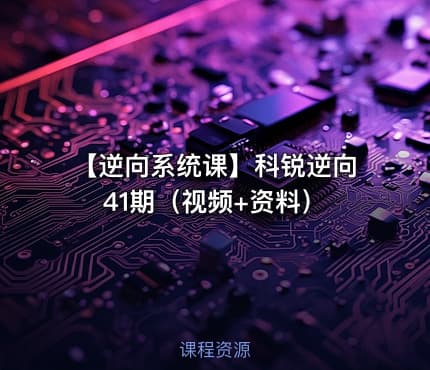 【逆向系统课】科锐逆向41期（视频+资料）