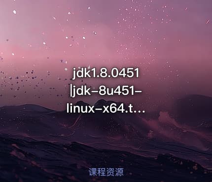 jdk1.8.0451|jdk-8u451-linux-x64.tar