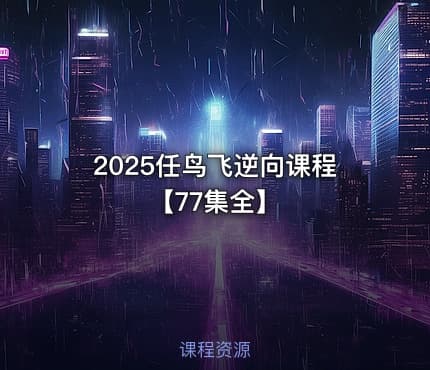 2025任鸟飞逆向课程【77集全】